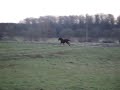 Sunshinedust & Mrs Miskovsky -09