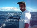 Fishcompany - Olho de Boi Catch and release