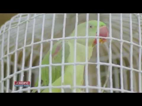 Datsun redi-GO – For the ready-to-go generation