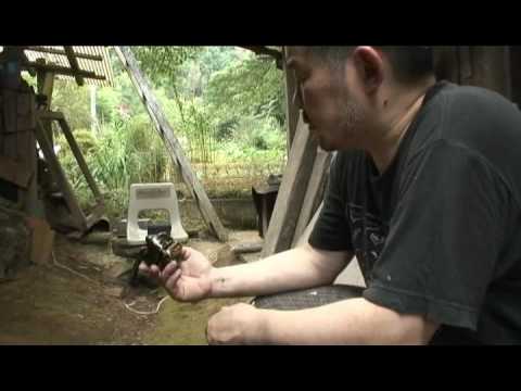 窯開け~三上亮・陶芸家(5)