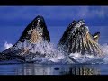 2007 Alaska Cruise