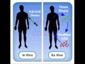 Biotechnology & Gene Therapy