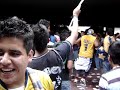rebel pumas de la unam  tunel 