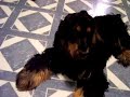Billy at 7 months
