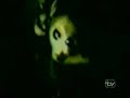 Video Extraterrestre vivo mostrado en Viva el lunes