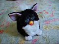 Tolu-Ka the Furby Tolu-Ka the Furby