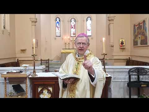 Sermon for the Assumption