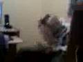 videos de coke bottle smashing