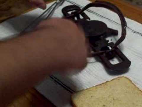 Penn & Teller Animal Trap Trick - Part Two