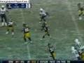 Troy Polamalu Highlights