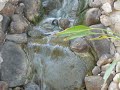 homemade waterfall w/3500 GPH pump and 500 gal pond