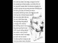 Tanks anti BSL slideshow