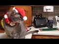 MVI_0288.MOV