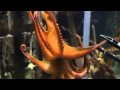Octopus Paul - Germany vs. Spain