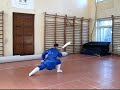 Wudang Pudao Wudang Pudao