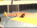 videos de Marrocos OLIMPANTER 3