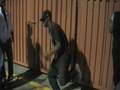 videos de wisdom Aka Twinn sem pt.2