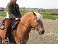 Les Wim Vonck 260408