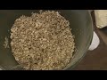     Oatmeal / Oats Pack Bait how to video