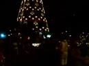 Christmas Tree Ibirapuera Park