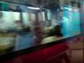 Hong Kong - Peak Tram