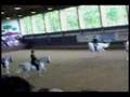 Lipica Stud Farm Slovenia The Home Of The  Lipizzaner Dressa