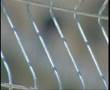 Footage of Israel's Anti-Terrorism Security Fence