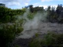 ROTORUA 1