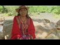 The survival of the Wayúu people