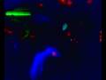 videos de Rocko136