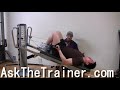 bodybuilding arms
