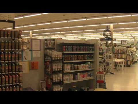 Great Getaways: Shops and Stores - Houghton Lake, MI