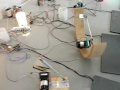 [babot]motor animals