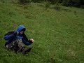 turla turla