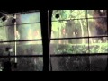 ZEIVY - \