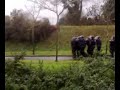 CRS QUI CHARGENT APRES la manif du 6 dec a brest !