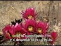 MUSICA ROMANTICA Los Angeles Negros Murio la Flor Karaoke