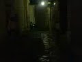 papero provinciale