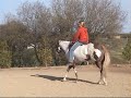Special Ingredient-Mare by Special Invitation