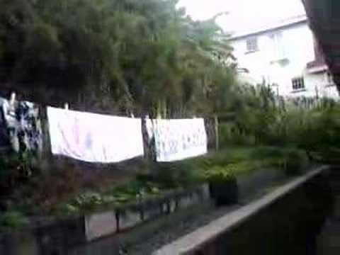 auntie mintha's house in roseau dominica