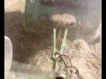 Presse JD + tracteur JD 6620