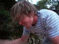 Grill anwedeln