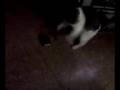 La Kiti