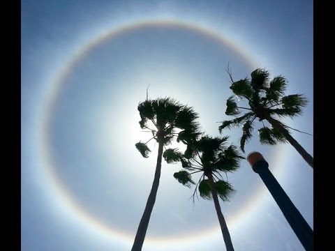 Let there be NO DOUBT- People in Florida are the Craziest!#!