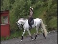 Abalorio - great PRE-stallion for sale. June 26. 2008 Part 1 Abalorio - great PRE-stallion for sale. June 26. 2008 Part 1