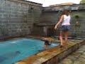 O Lagarto cheio de meleca :D