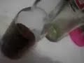 TE CON RON N LAS ROCAS xD TE CON RON N LAS ROCAS xD
