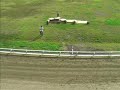 Bjorkis Greyhound Park Skelleftea 20080720 Race 8-10
