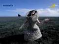 who is it ( remix vitalic)