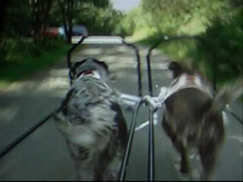 how to know uninor number